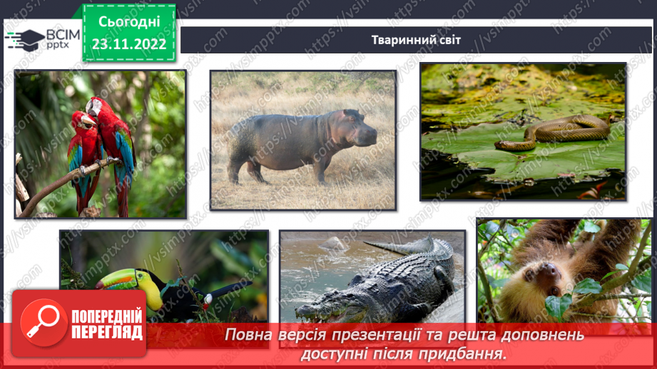 №044 - Дослідження природних зон (дощові ліси, напівпустеля, савани, тайга).7 №044 - Дослідження природних зон (дощові ліси, напівпустеля, савани, тайга).7