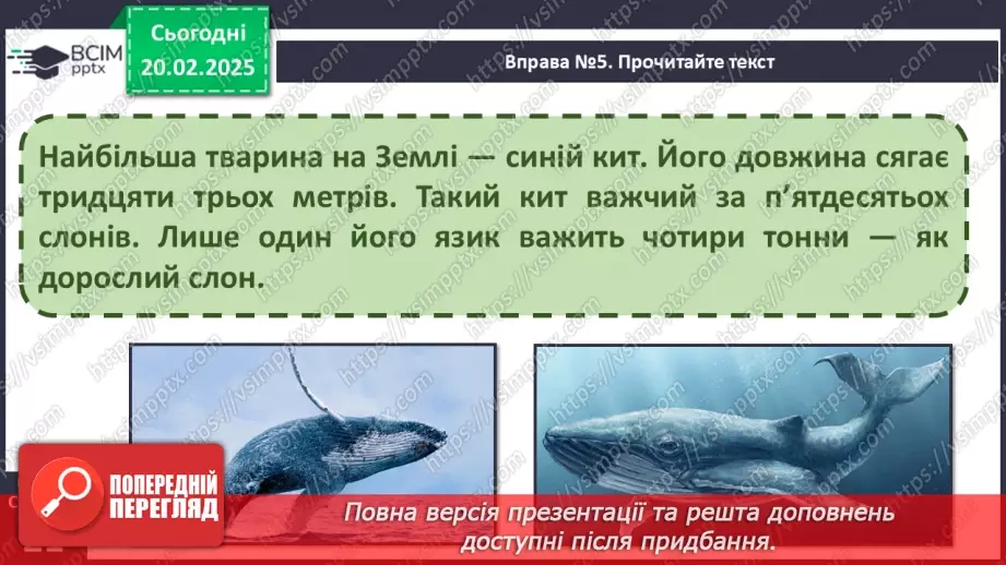 №096 - Будова тексту. Навчаюся визначати частини тексту.40 №096 - Будова тексту. Навчаюся визначати частини тексту.40