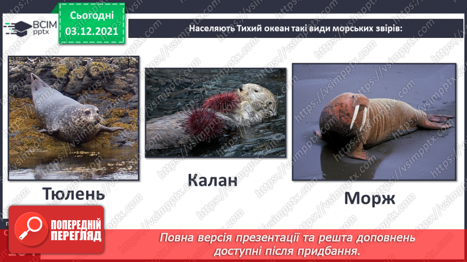 №044 - Океани Землі. Особливості природи океанів24 №044 - Океани Землі. Особливості природи океанів24