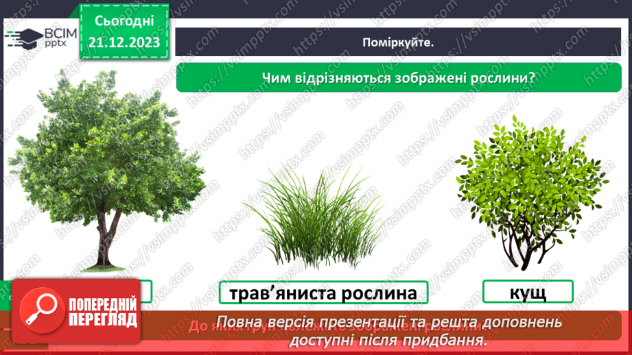 №051 - Які бувають рослини14 №051 - Які бувають рослини14