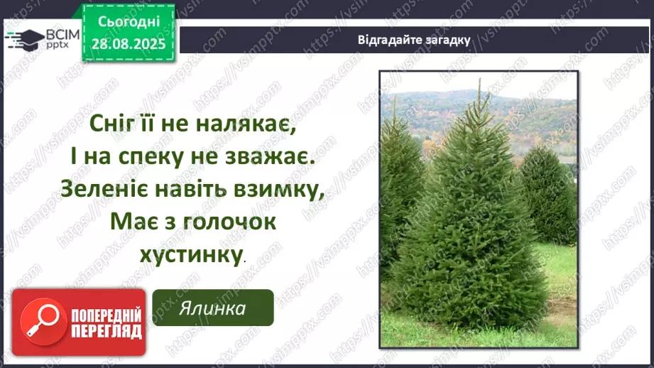 №02 - Основні поняття: графіка, графічні матеріали СМ: В. Мамчич «Кримське дерево»; методичний малюнок дерева пастеллю6 №02 - Основні поняття: графіка, графічні матеріали СМ: В. Мамчич «Кримське дерево»; методичний малюнок дерева пастеллю6