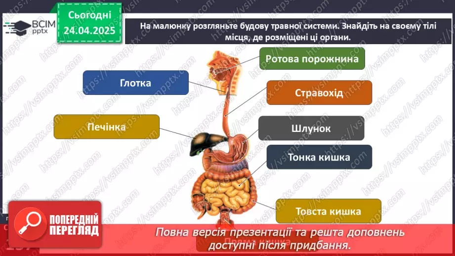 №096 - Травна система. Здорове харчування. ст.137-1399