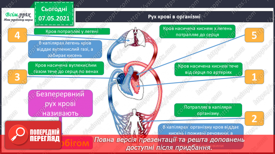 №054 - Яке значення має кровоносна система. Вимірювання частоти свого пульсу15 №054 - Яке значення має кровоносна система. Вимірювання частоти свого пульсу15
