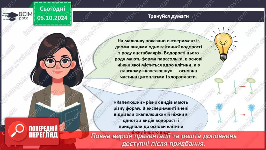 №19 - Зелені та Червоні водорості.4 №19 - Зелені та Червоні водорості.4