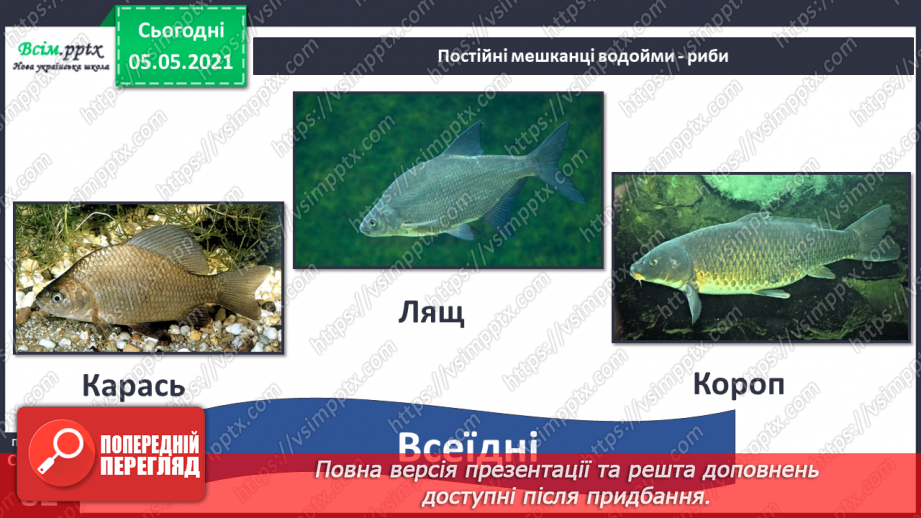№052 - Природне угруповання — прісна водойма.23