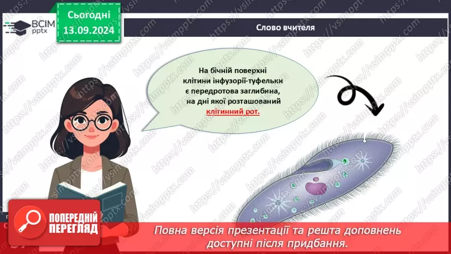 №12 - Які особливості оргнанізації клітин одноклітинних евкаріотів?9