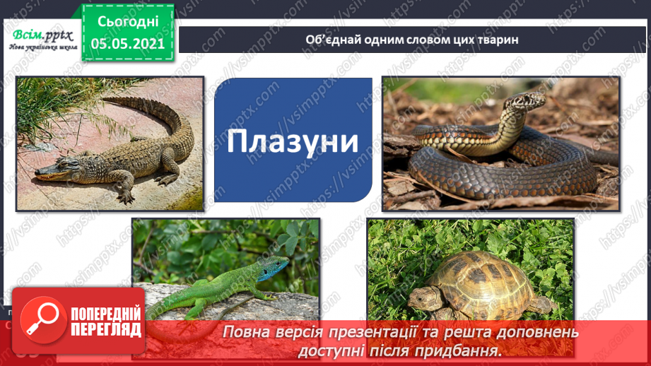 №044 - Різноманітність тварин у природі. Плазуни4 №044 - Різноманітність тварин у природі. Плазуни4
