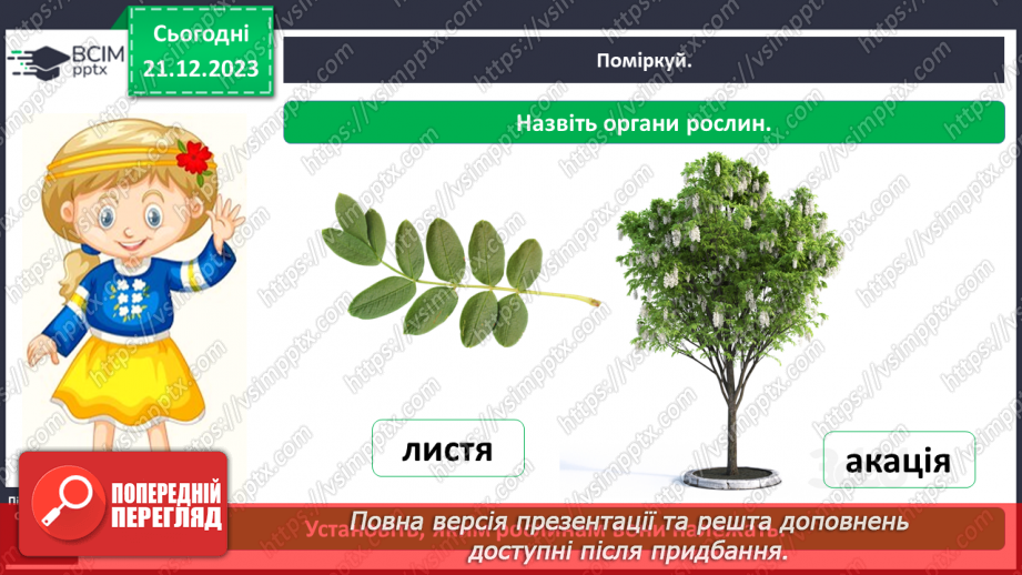 №050 - Яка будова рослин8 №050 - Яка будова рослин8