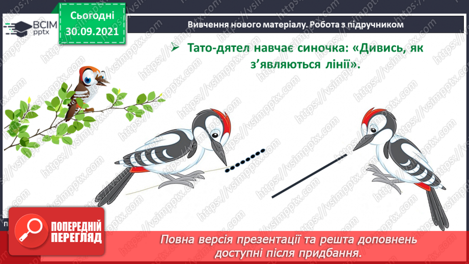 №021 - Точка. Пряма. Крива.11 №021 - Точка. Пряма. Крива.11