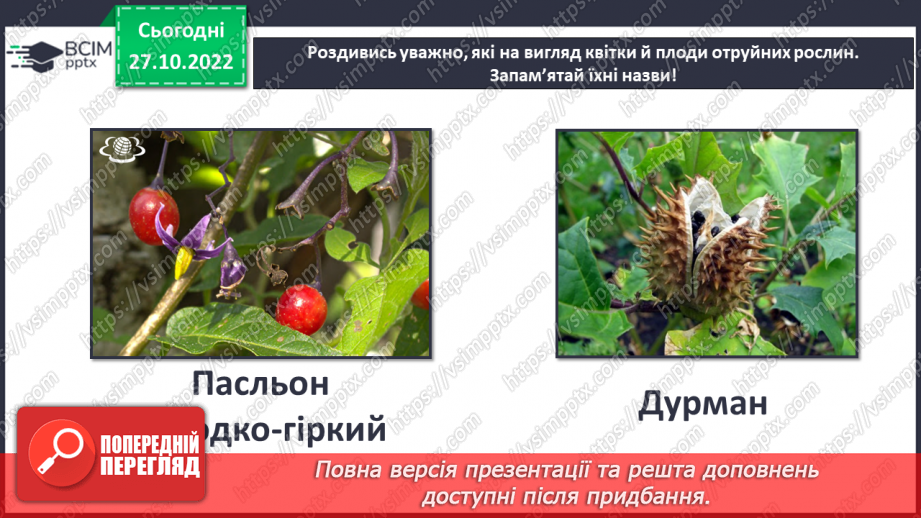 №033 - Будова рослин. Лікарські та отруйні рослини.28 №033 - Будова рослин. Лікарські та отруйні рослини.28
