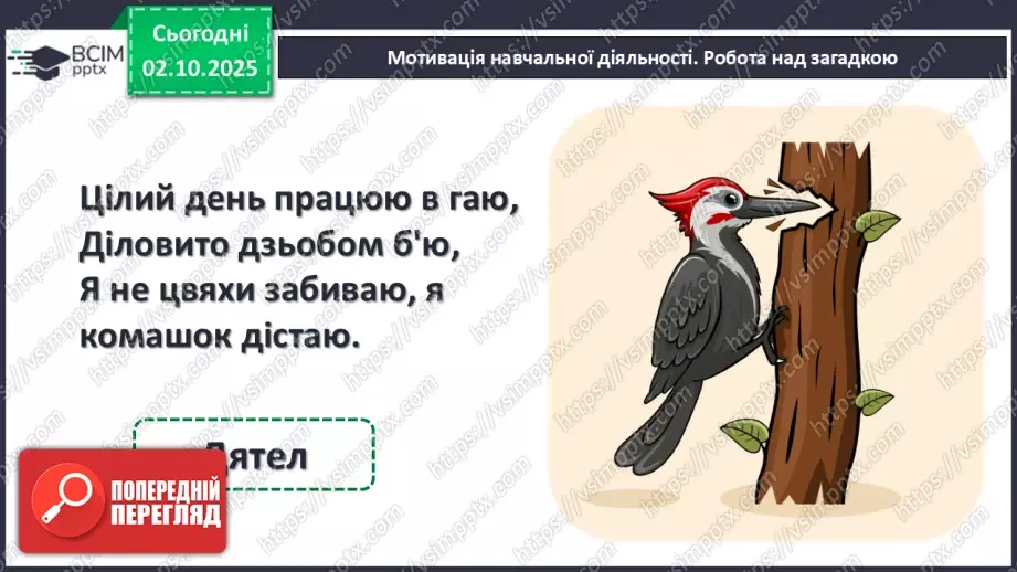 №026 - Точка. Пряма. Крива8 №026 - Точка. Пряма. Крива8