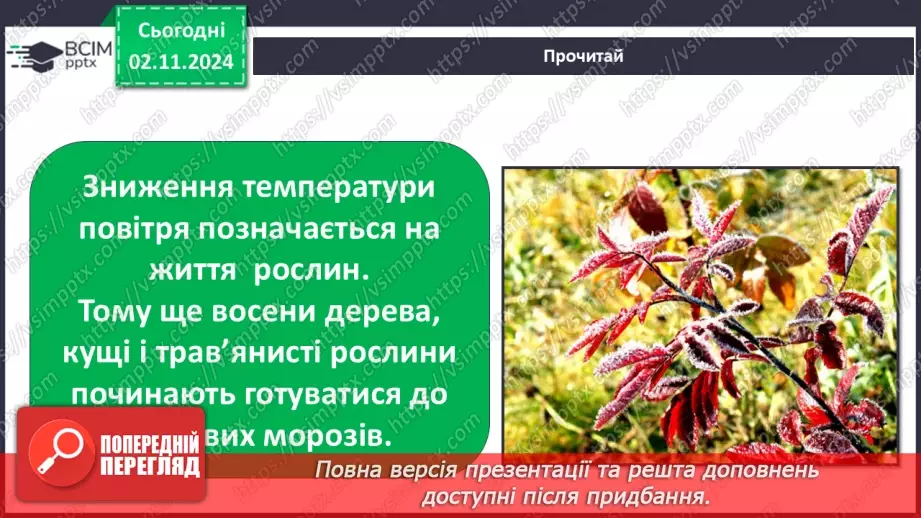 №0032 - Як рослини готуються до зими3 №0032 - Як рослини готуються до зими3