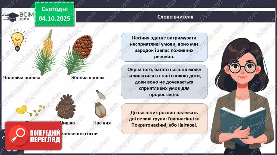 №019 - Голонасінні рослини: значення в екосистемах і використання.8 №019 - Голонасінні рослини: значення в екосистемах і використання.8
