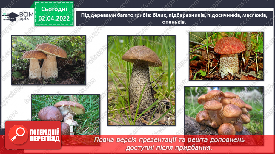 №082 - Українські Карпати9 №082 - Українські Карпати9