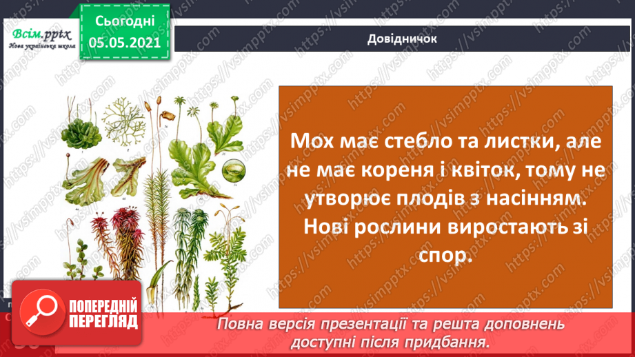 №033 - Мохи.17 №033 - Мохи.17