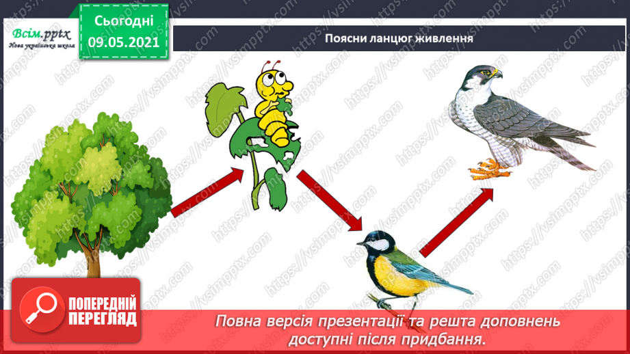 №076 - За що «відповідальні» тварини в природі?11