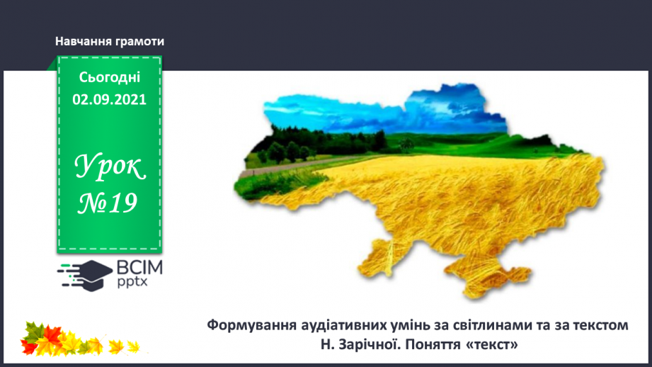 №019 - Формування аудіативних умінь за світлинами та за текстом Н. Зарічної. Поняття «текст»0