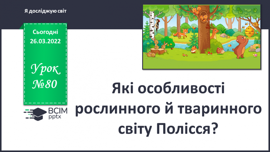 №080 - Які особливості рослинного і тваринного світу Полісся?0