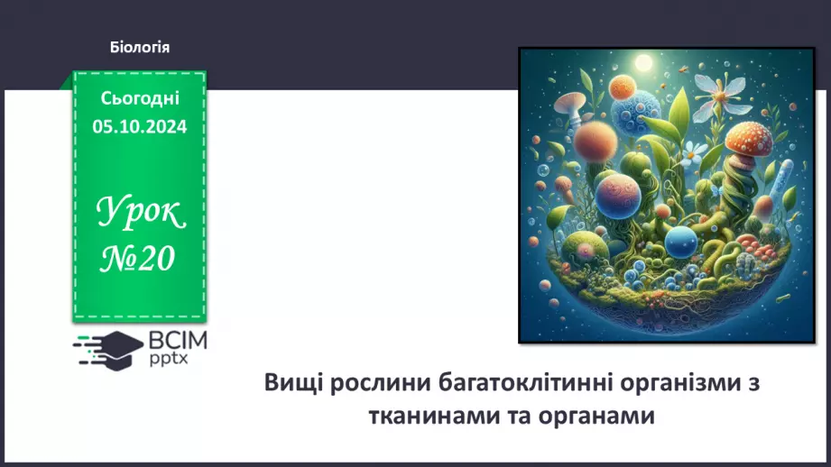 №20 - Вищі рослини багатоклітинні організми з тканинами та органами.0