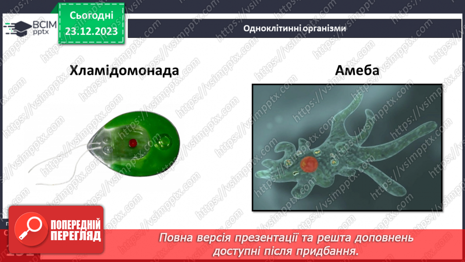 №33-34 - Невидимий світ живої природи.16