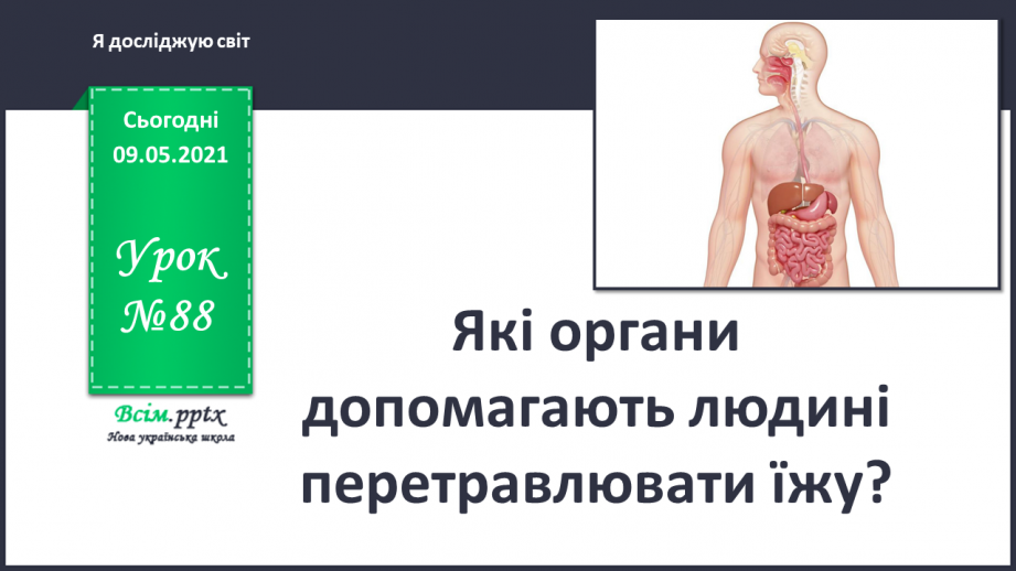 №088 - Які органи допомагають людині перетравлювати їжу?0