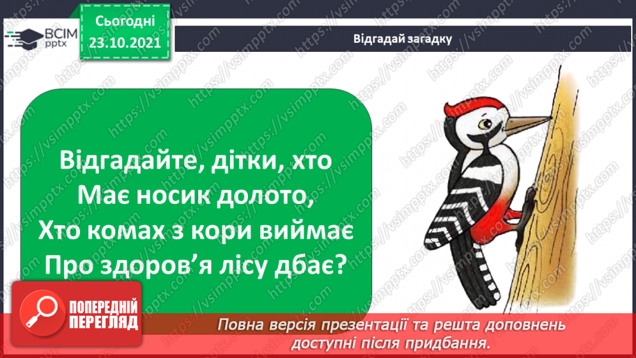 №030 - Як територія може стати домівкою? Комікс: «Як зимують комахи?»3 №030 - Як територія може стати домівкою? Комікс: «Як зимують комахи?»3