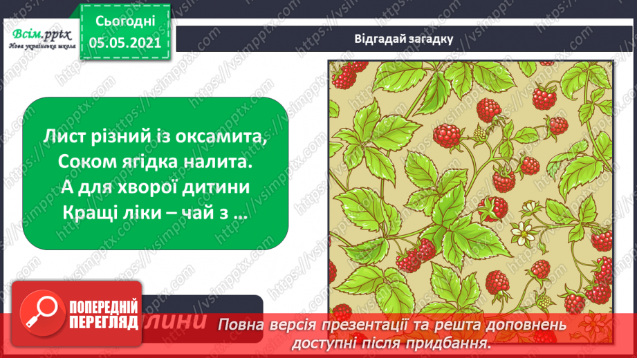 №030 - Рослини. Будова рослин4 №030 - Рослини. Будова рослин4