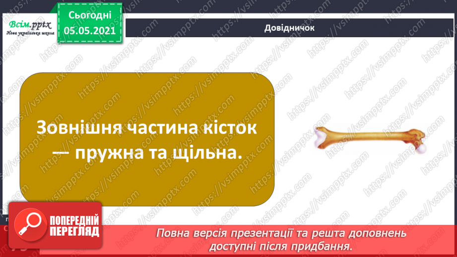 №057-58 - Скелет — опора тіла.7 №057-58 - Скелет — опора тіла.7