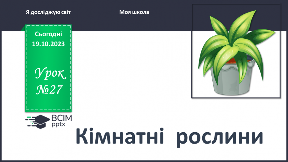 №027 - Які є кімнатні рослини0