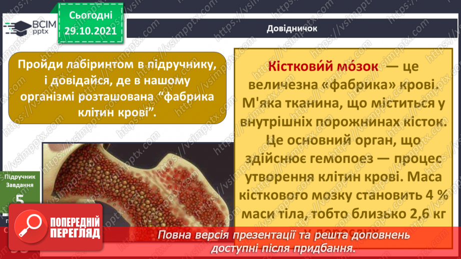 №033 - Чому кров червона?19