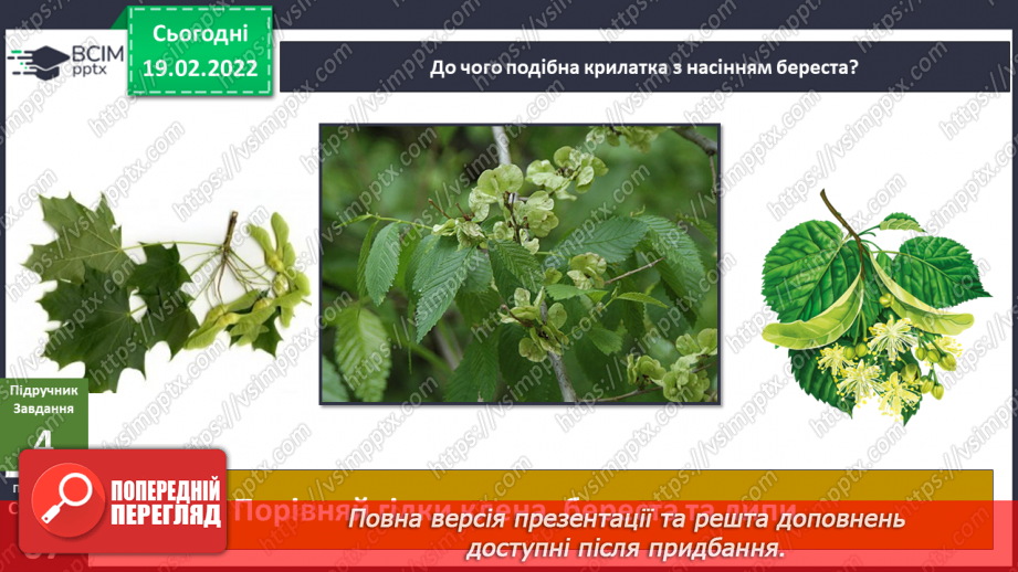 №072 - Як влаштований ліс?13 №072 - Як влаштований ліс?13