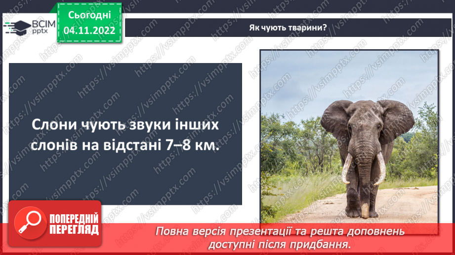 №23 - Чим важливі звукові явища у природі та житті людини. Виникнення звуку та його поширення на відстані.11 №23 - Чим важливі звукові явища у природі та житті людини. Виникнення звуку та його поширення на відстані.11