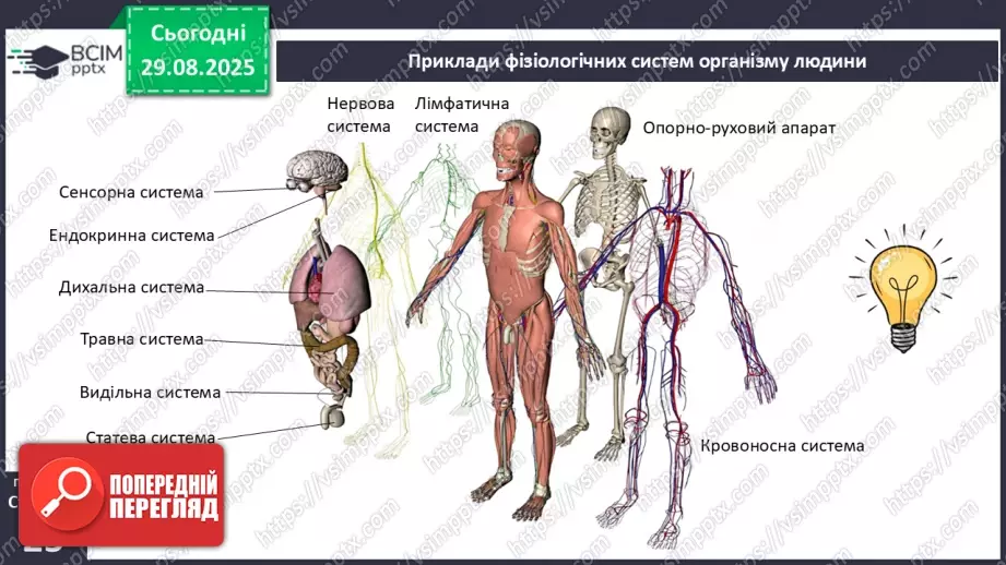 №006 - Органи, системи органів організму людини.6 №006 - Органи, системи органів організму людини.6