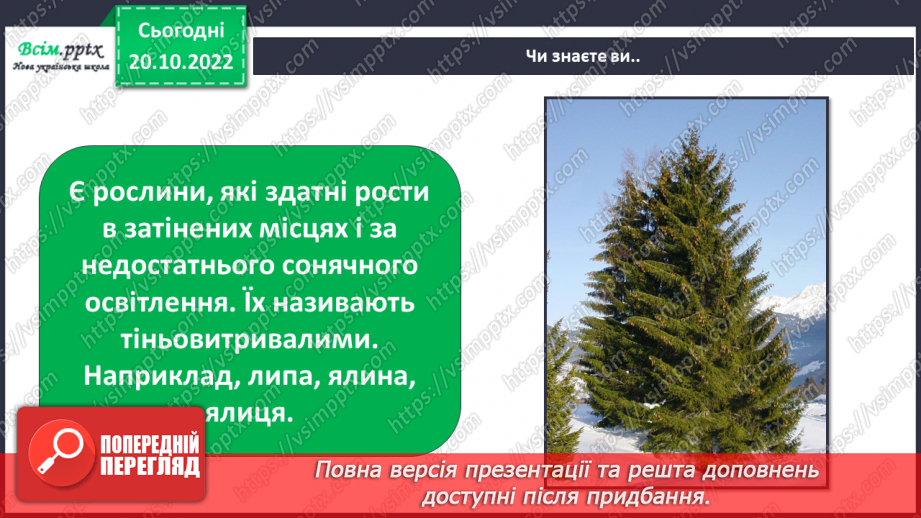 №10 - Виготовлення з картону силуетів тварин чи казкових героїв.  Розігрування «Театру тіней»7