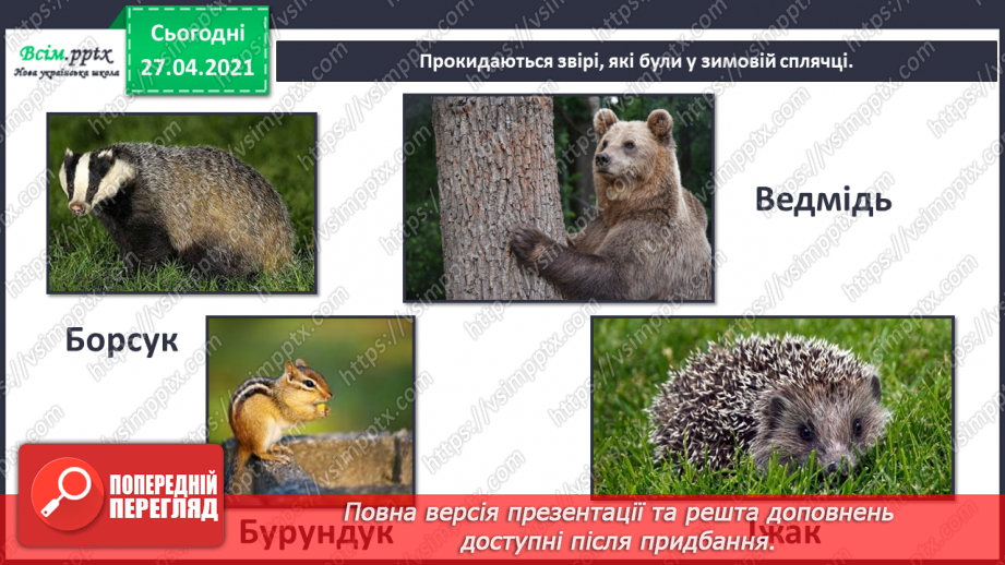 №088-89 - Які турботи приносить весна звірам?7