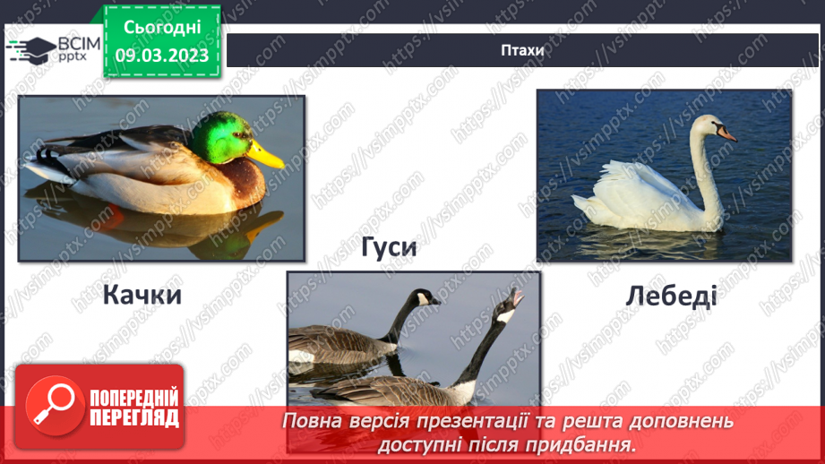 №080 - Ставок і ліс як екосистеми.18