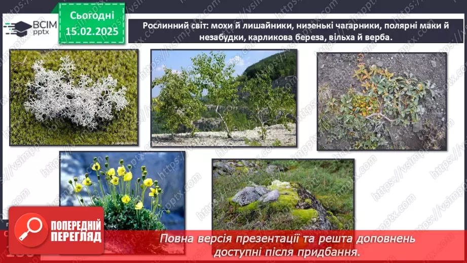 №46 - Природні зони Північної Америки. Арктичні пустелі. Тундра. Ліси помірного поясу.9