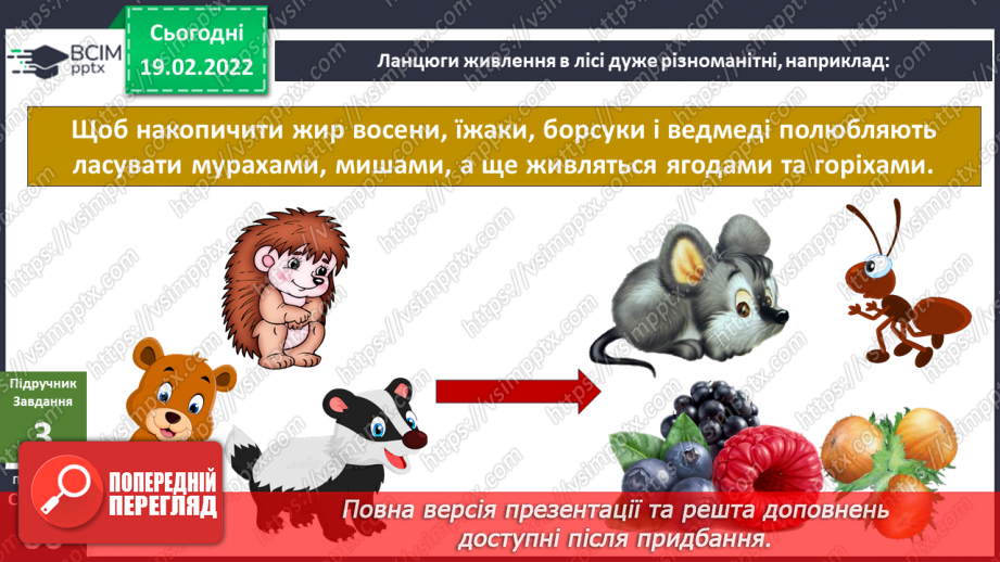 №072 - Як влаштований ліс?12 №072 - Як влаштований ліс?12