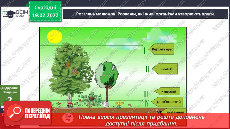 №072 - Як влаштований ліс?6 №072 - Як влаштований ліс?6