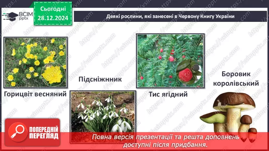 №057 - Проводимо дослідження. Які рослини і тварини нашого краю занесені в Червону книгу України.11 №057 - Проводимо дослідження. Які рослини і тварини нашого краю занесені в Червону книгу України.11