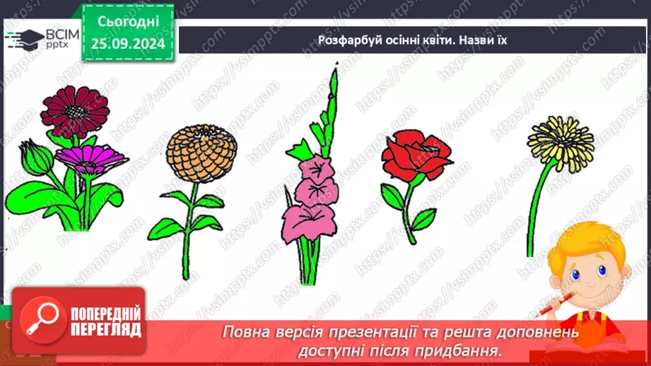 №018 - Проводимо дослідження. Який вигляд мають рослини біля нашої школи?13