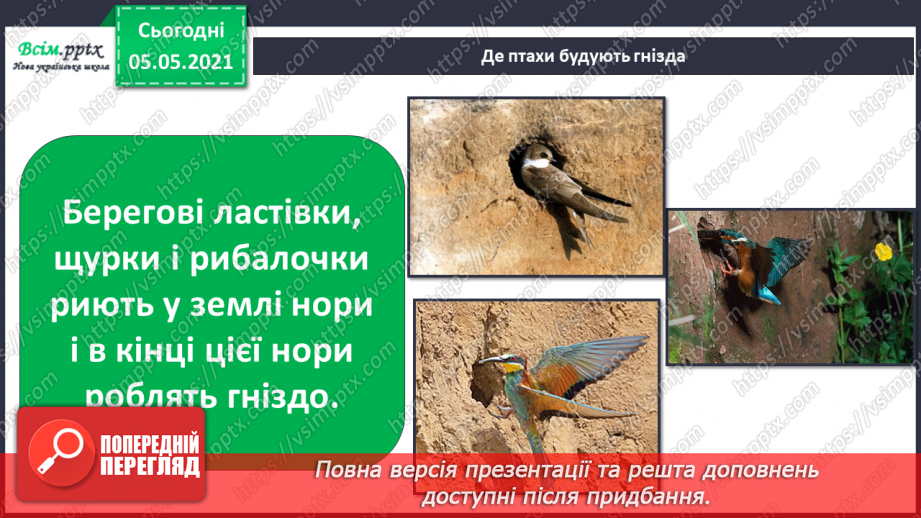 №040 - Птахи.13 №040 - Птахи.13