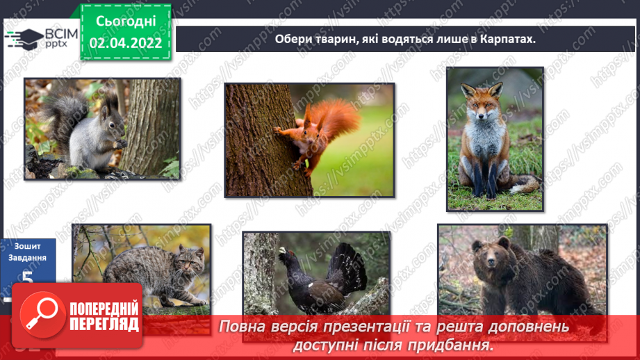 №082 - Українські Карпати27 №082 - Українські Карпати27