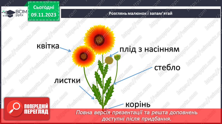 №034 - Рослини. Світ природи розмаїтий…16 №034 - Рослини. Світ природи розмаїтий…16