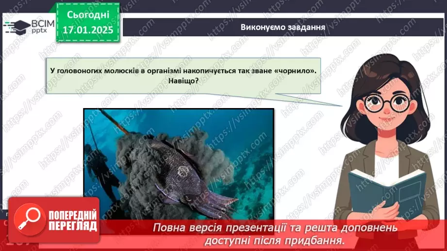 №53 - Молюски (продовження).14 №53 - Молюски (продовження).14