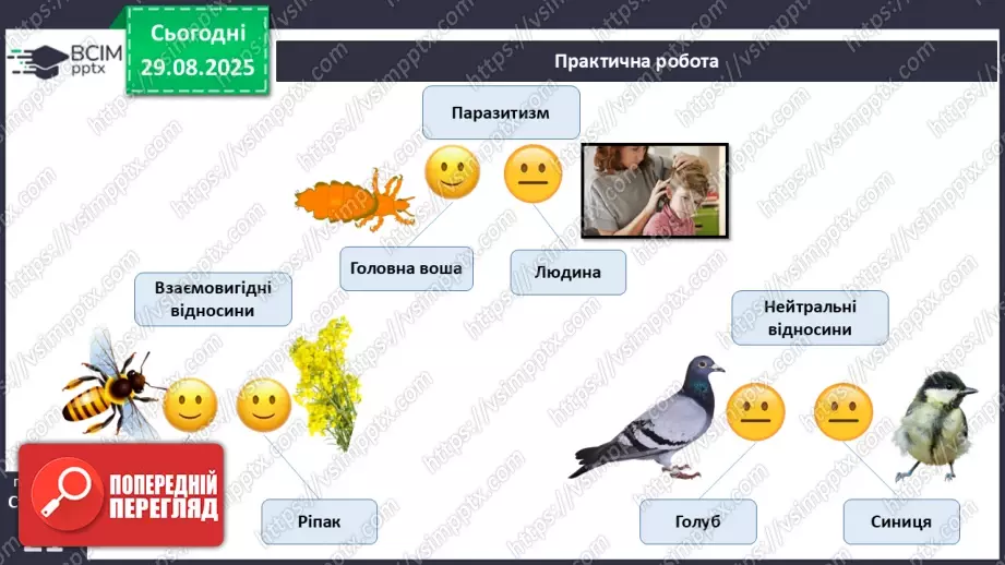 №006 - Правило екологічної піраміди16 №006 - Правило екологічної піраміди16