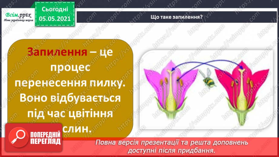 №033 - Розмноження квіткових рослин11