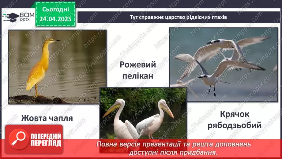 №0096 - Чому природа потребує охорони14 №0096 - Чому природа потребує охорони14