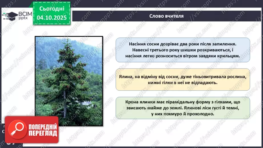 №019 - Голонасінні рослини: значення в екосистемах і використання.19 №019 - Голонасінні рослини: значення в екосистемах і використання.19