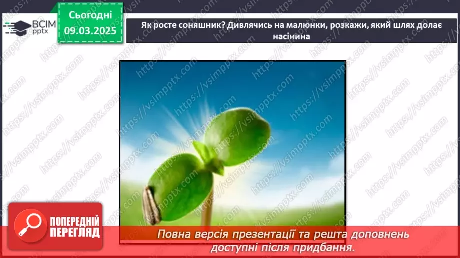 №076 - Як росте і розвивається рослина з насінини. ст.67-6927